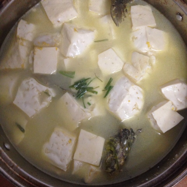 昂刺鱼豆腐汤
