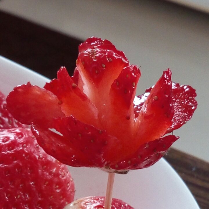 草莓玫瑰花