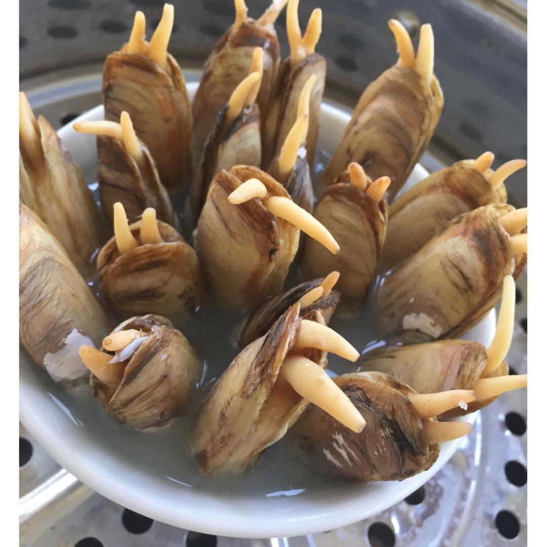 湖馨2012做的原汁原味的插蛏(蛏子)