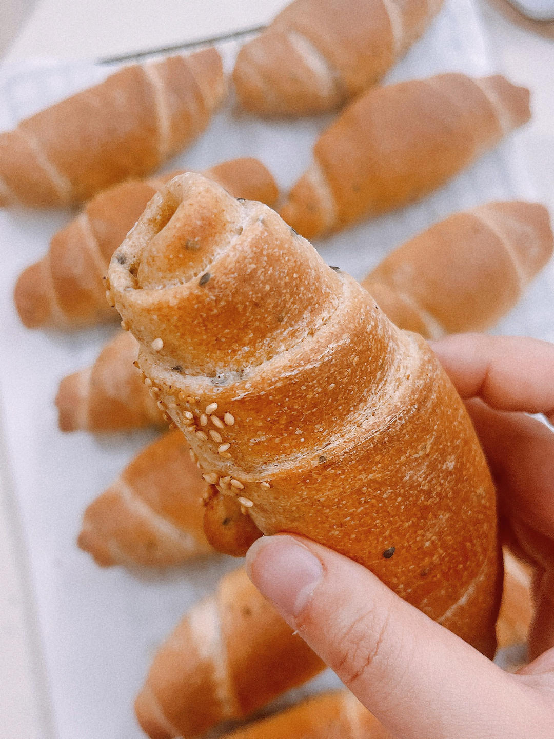 这个芝麻海盐卷我真的太爱了，你们赶紧做起来！