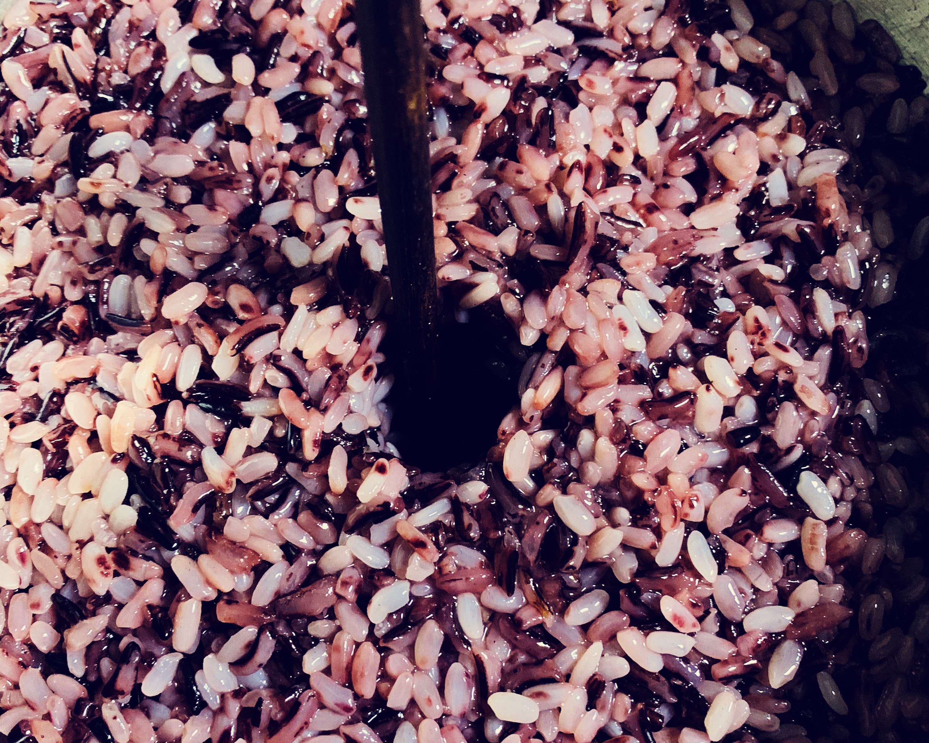 紫米醪糟（酒酿）的做法