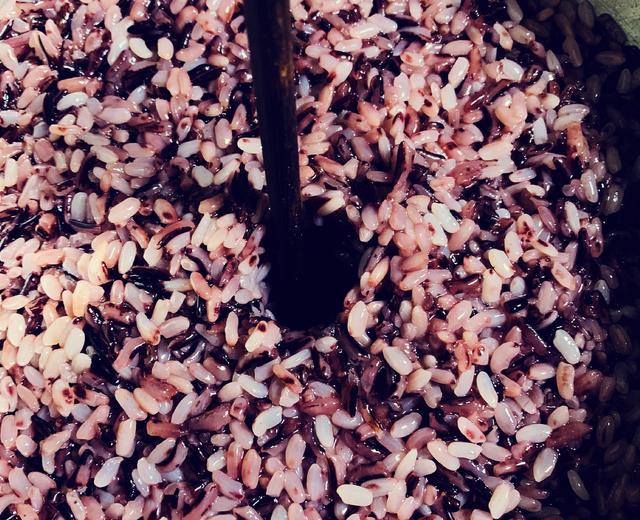 紫米醪糟（酒酿）的做法