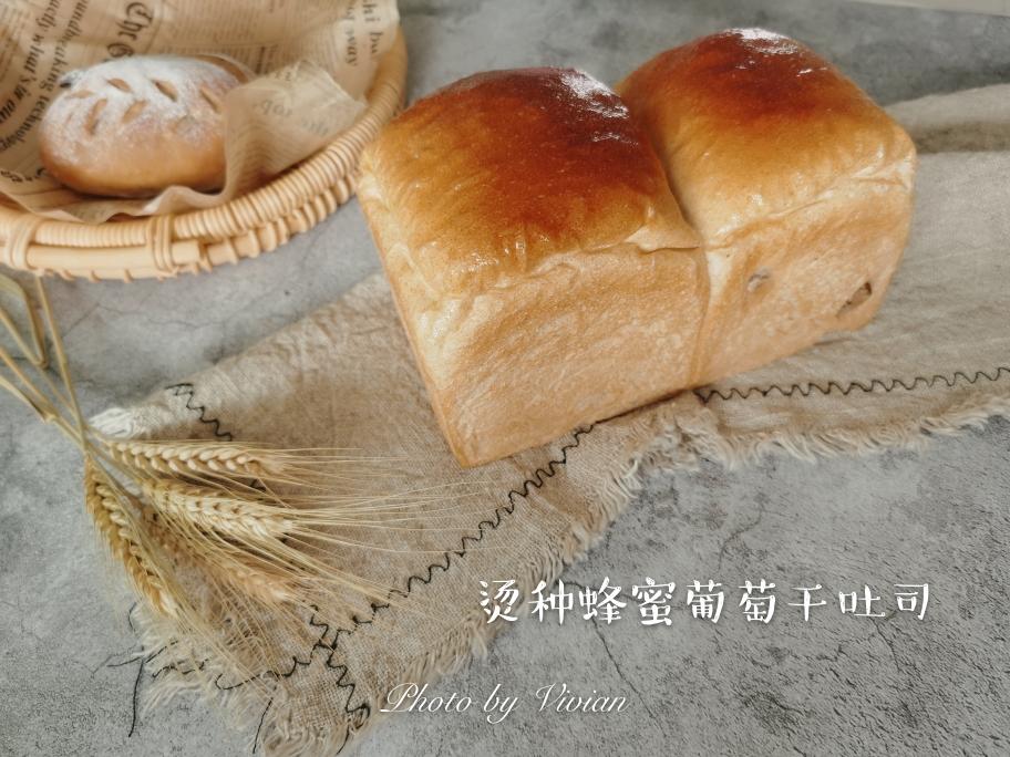 免擀卷-烫种蜂蜜全麦葡萄干吐司（口感Q弹）的做法