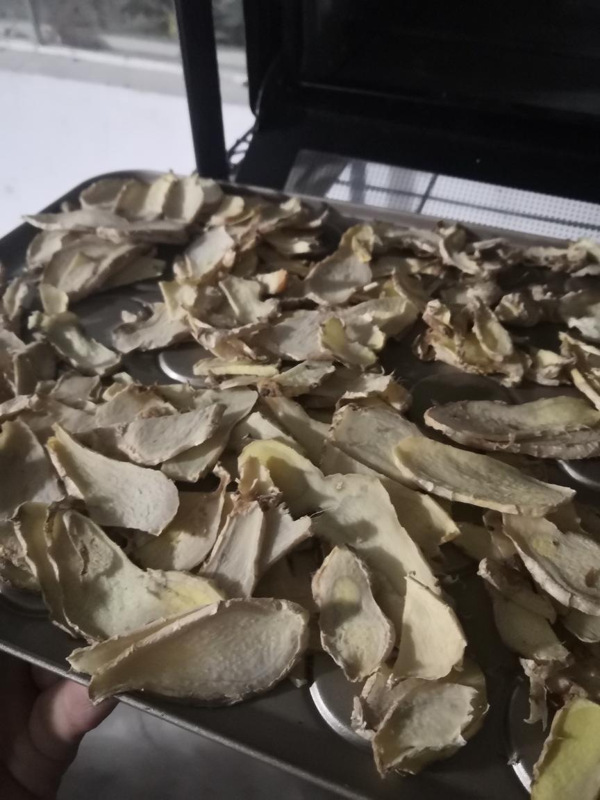 自制姜粉