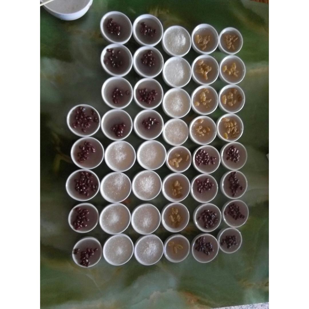 蜜豆钵仔糕