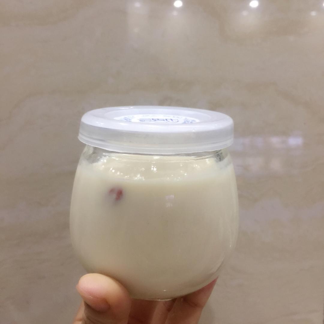 花胶炖牛奶汤