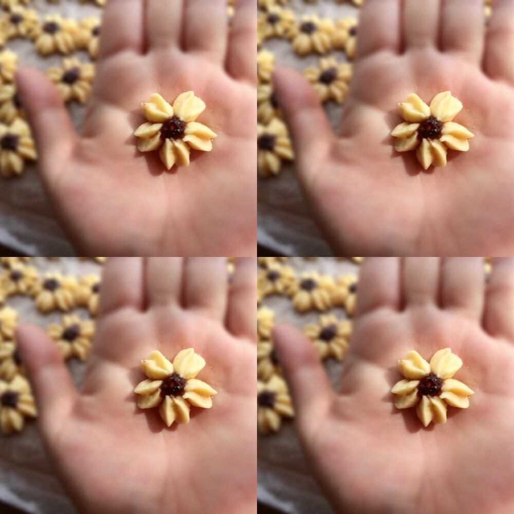 蔓越梅樱花曲奇