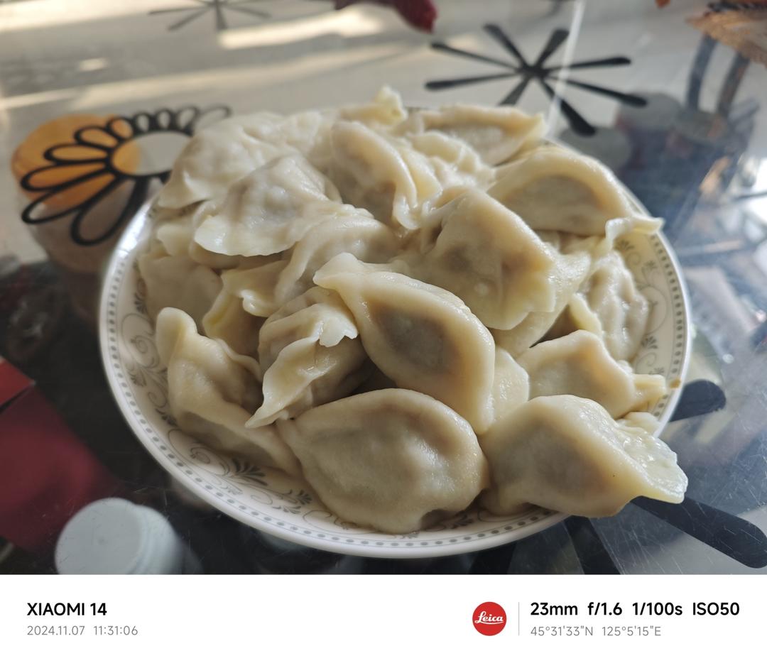 新手学会煮饺子