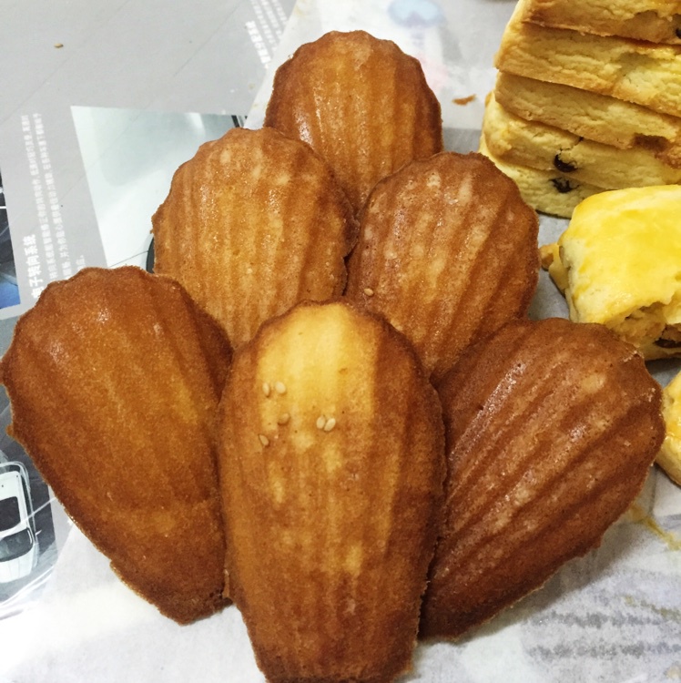 蜂蜜玛德琳