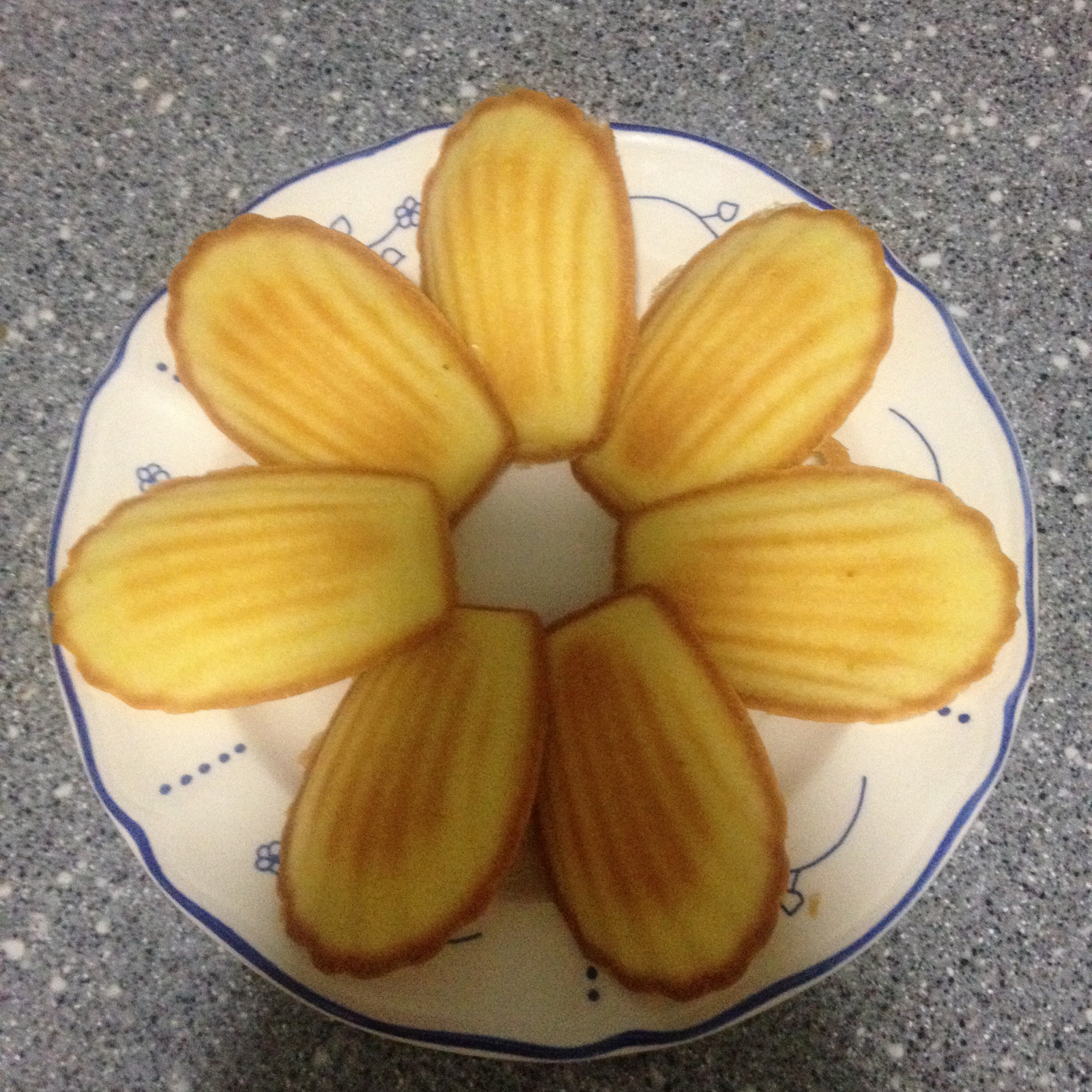 玛德琳（蓝带方）