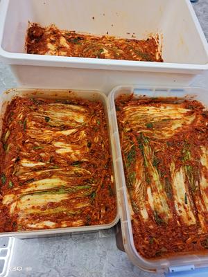 韩国泡菜的做法 步骤20