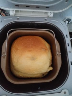 东菱面包机做松软面包的做法 步骤10