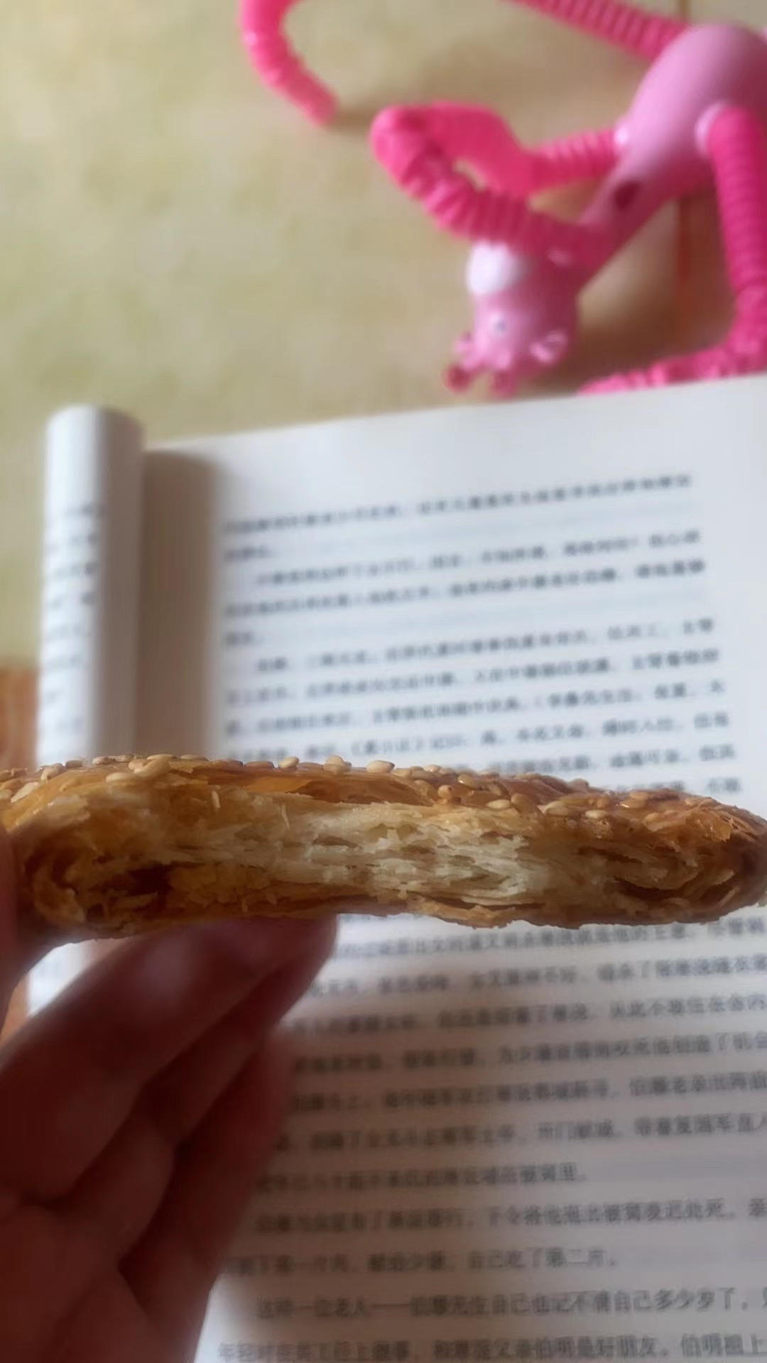 家乡名小吃黄桥烧饼，简单开酥不用手套膜，层次分明，酥软可口‼️