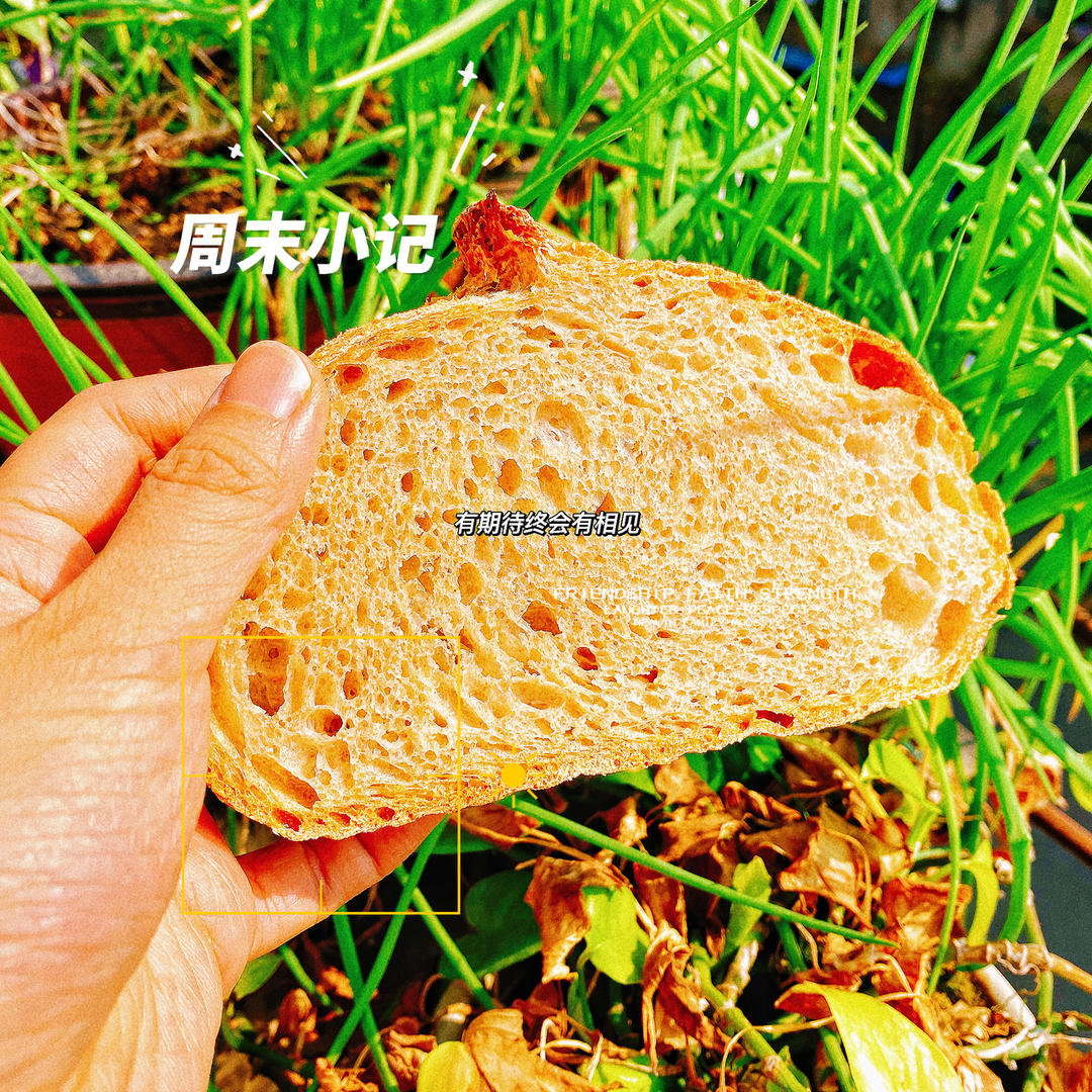 无糖无油的全麦欧包