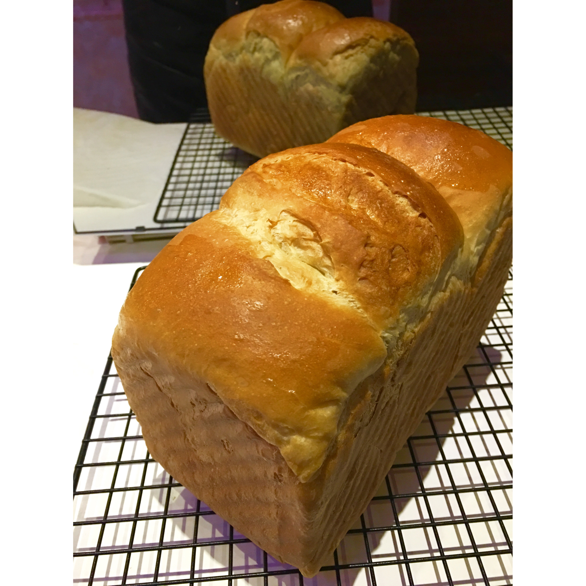 基础面包制作 Basic Bread (Loaf&Roll)