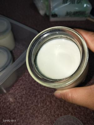 脱脂牛奶自制酸奶的做法 步骤2
