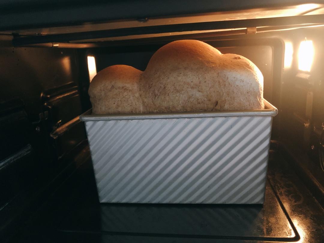 黑全麦波兰种吐司，这么柔软简直怀疑你是个假全麦！