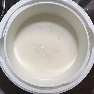 手工海盐波霸酸奶的做法 步骤2