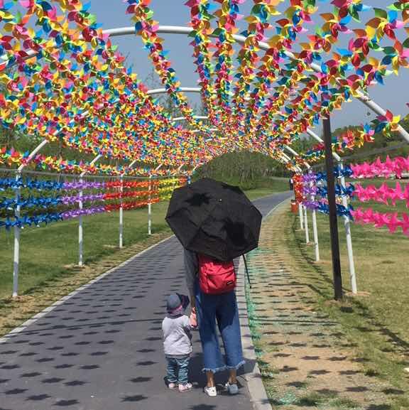 爱做饭的孙大鱼微信306900980