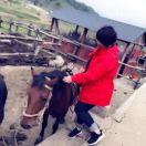 手机用户0263_zpxr