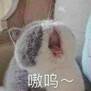 手机用户2147_3pty