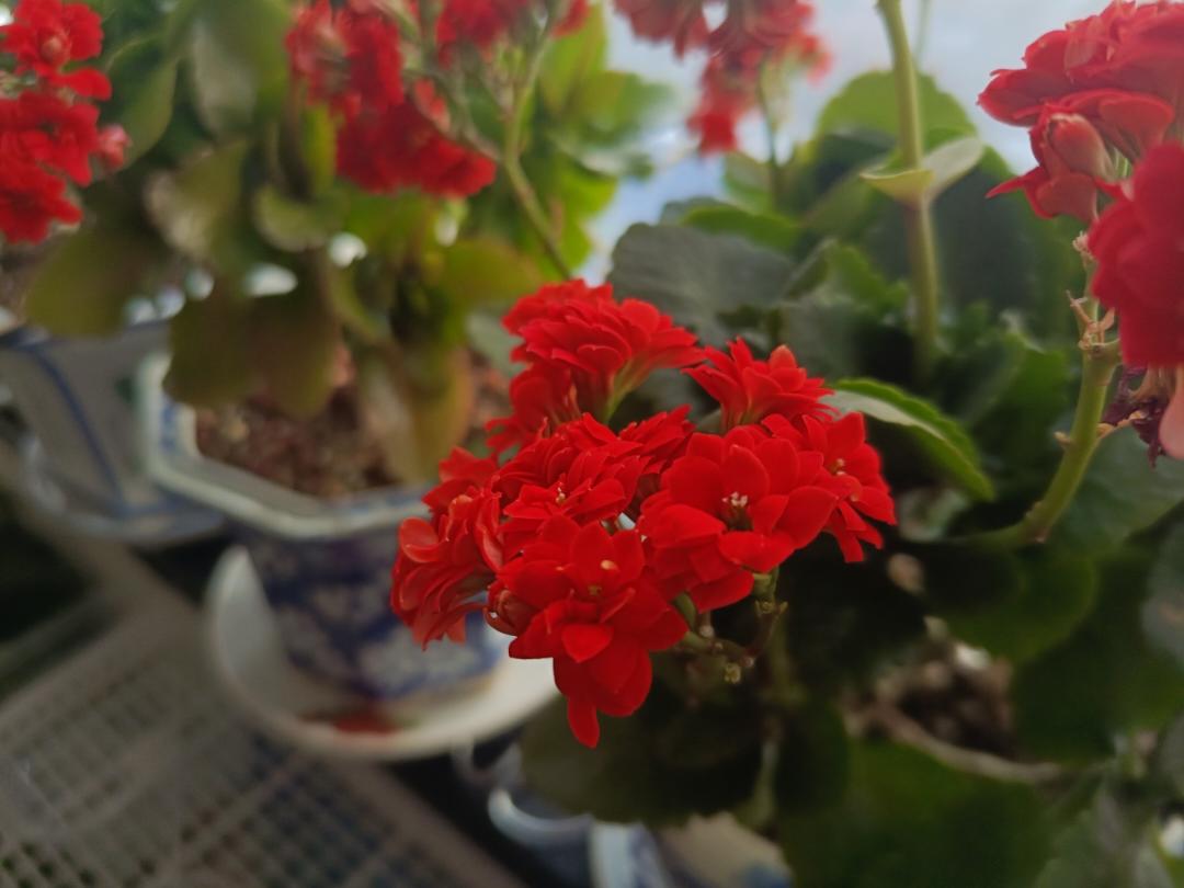 东陶东