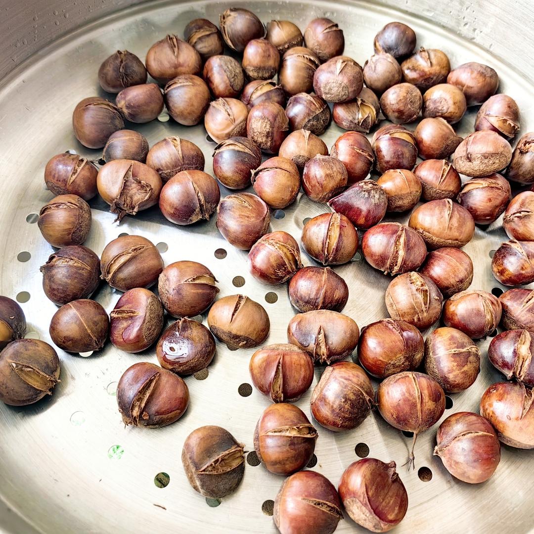 慵懒美丽的栗子