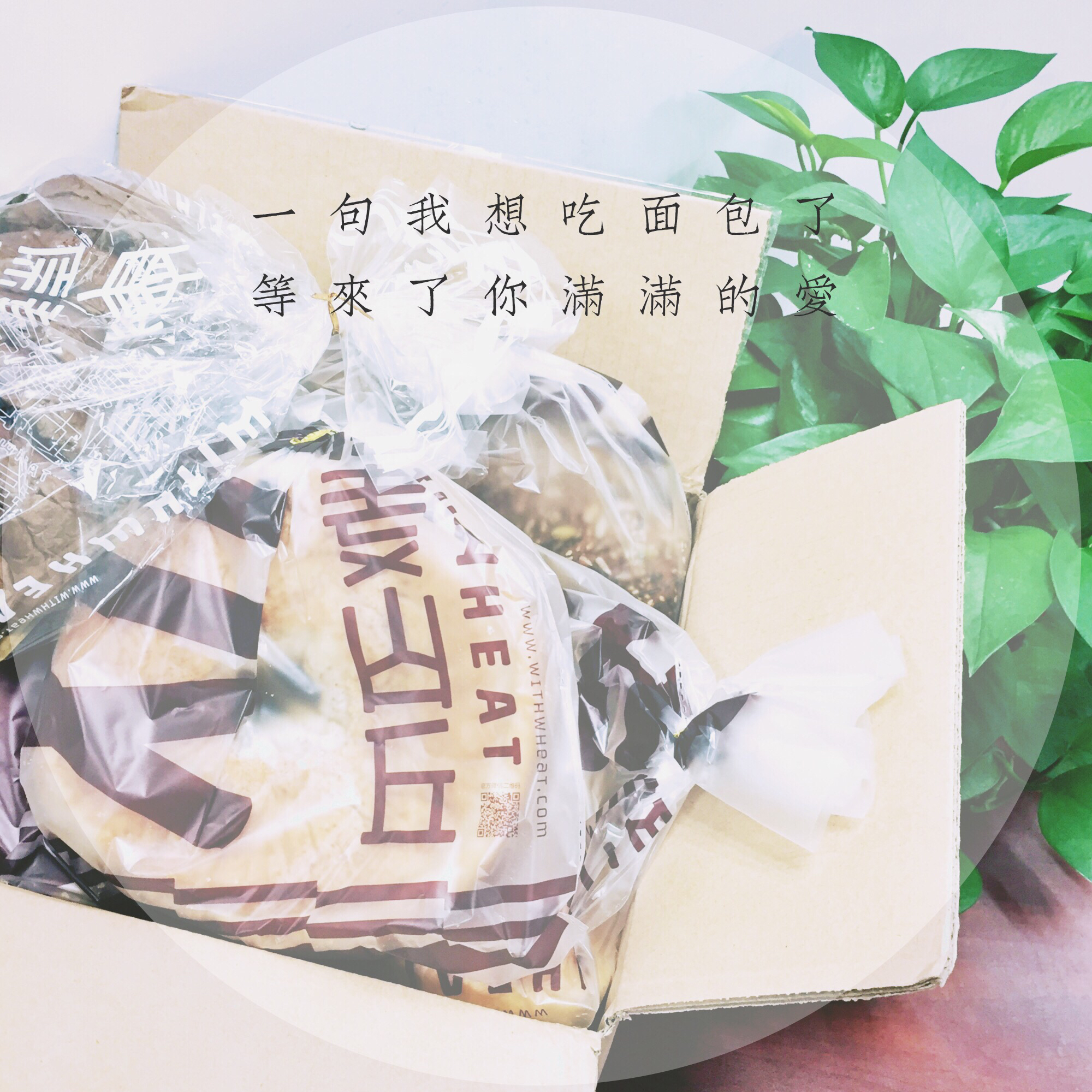 小图片 大心情