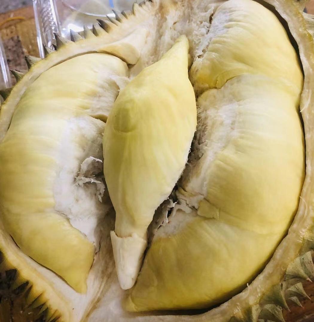 绝对会流芯的薄皮奶黄流沙包