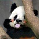 饮食萝萝