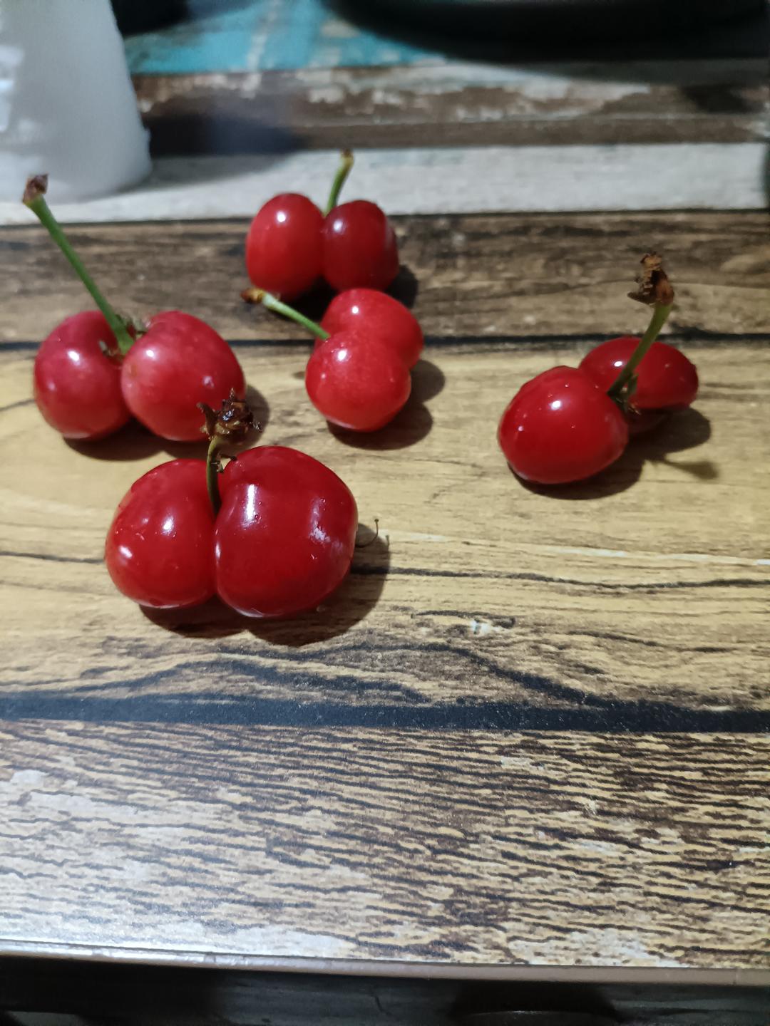 泡茶煮茶