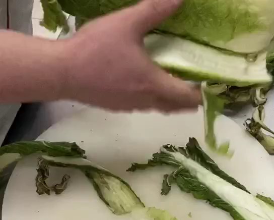 东北酸菜腌制的做法 步骤10