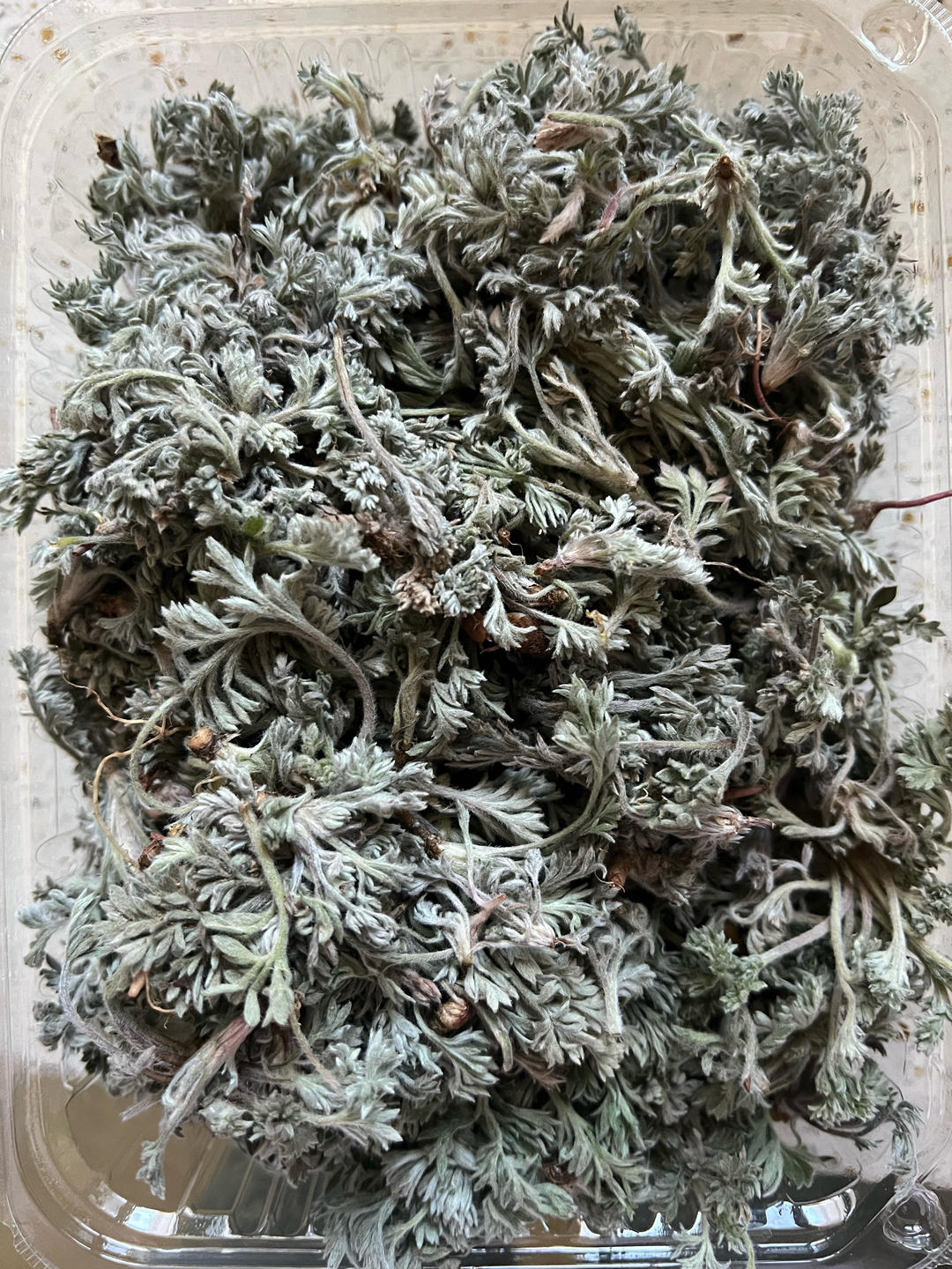 茵陈红枣馒头