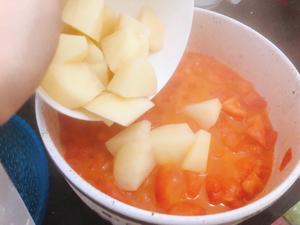 家庭版西红柿土豆炖牛腩的做法 步骤8