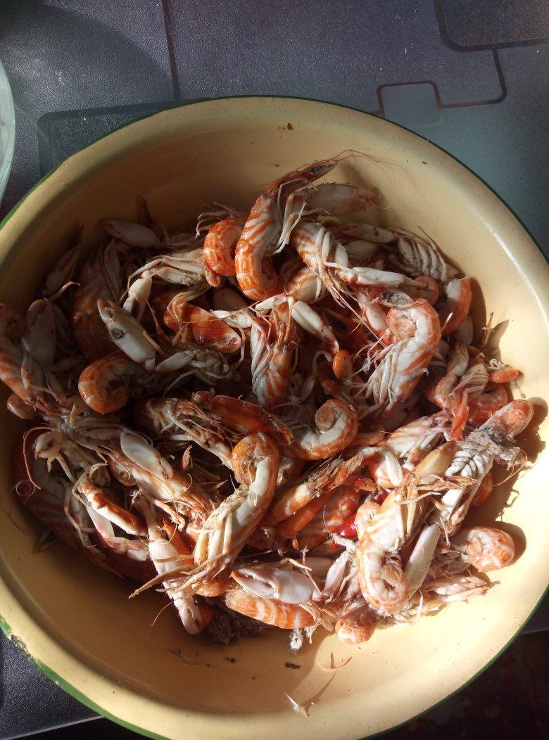 手机用户6973_76b5做的狗儿虾