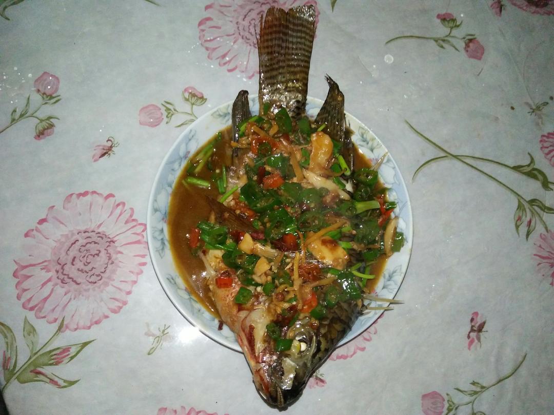 红烧鱼
