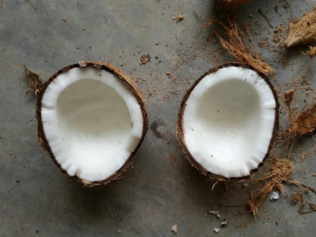 生机版的鲜香味 老椰来啦