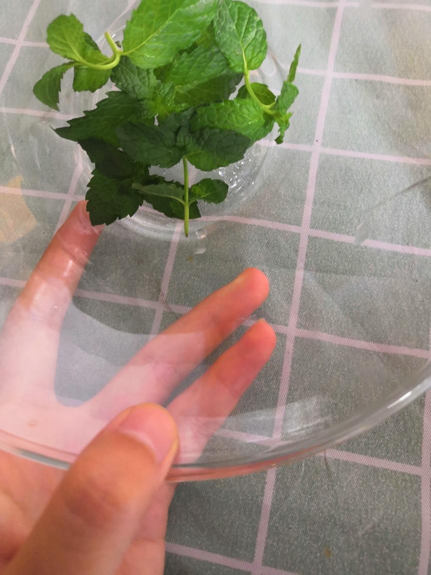 薄荷冰红茶的做法 步骤2