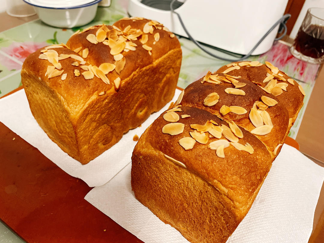 波兰种全麦吐司（40%全麦）