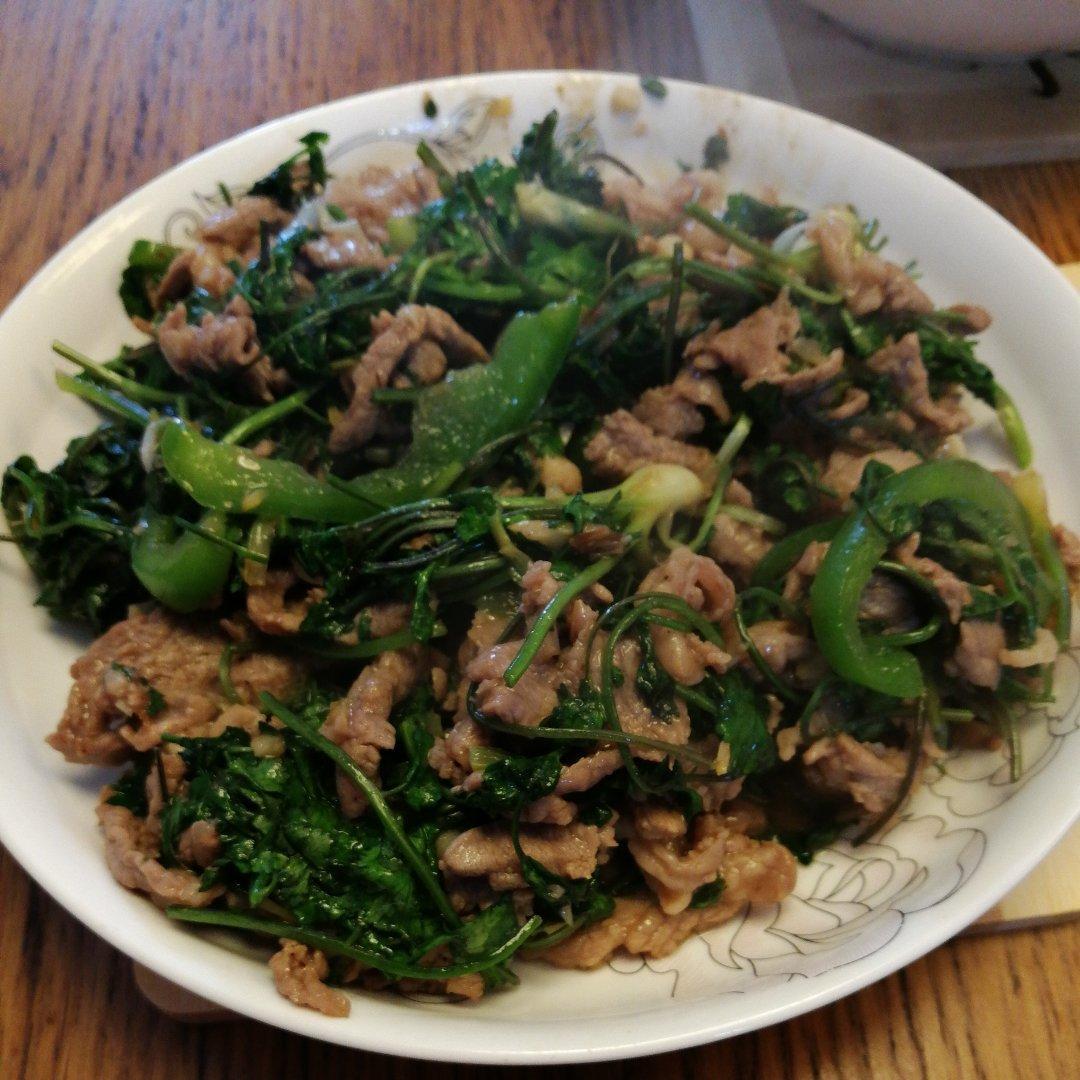 芫芜爆羊肉丝