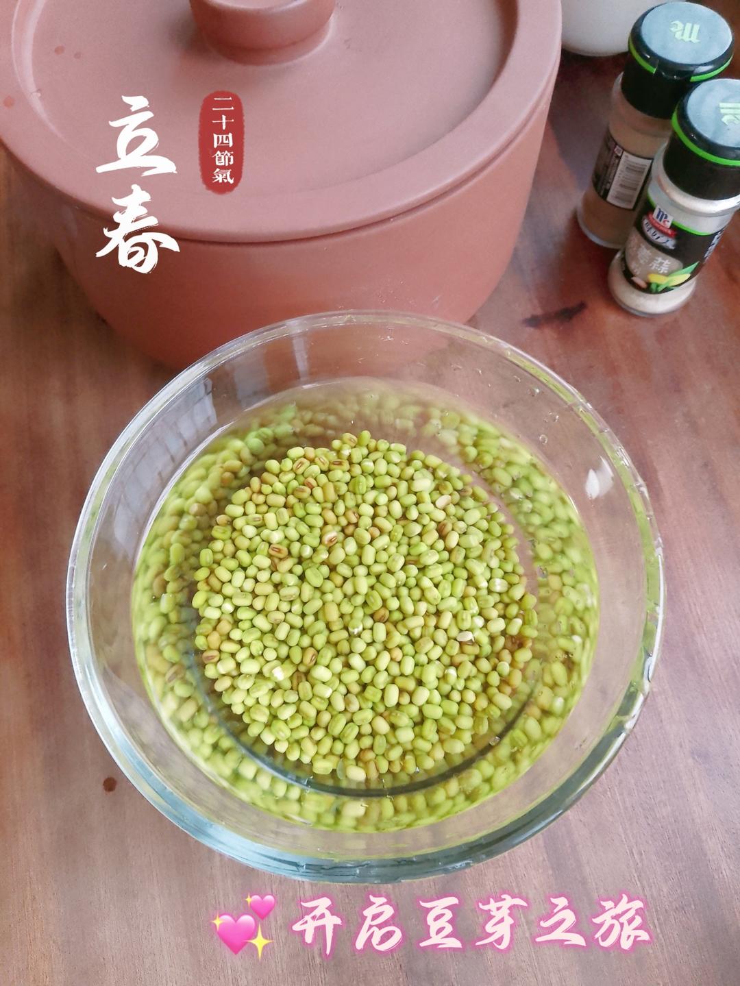 沥水篮发豆芽