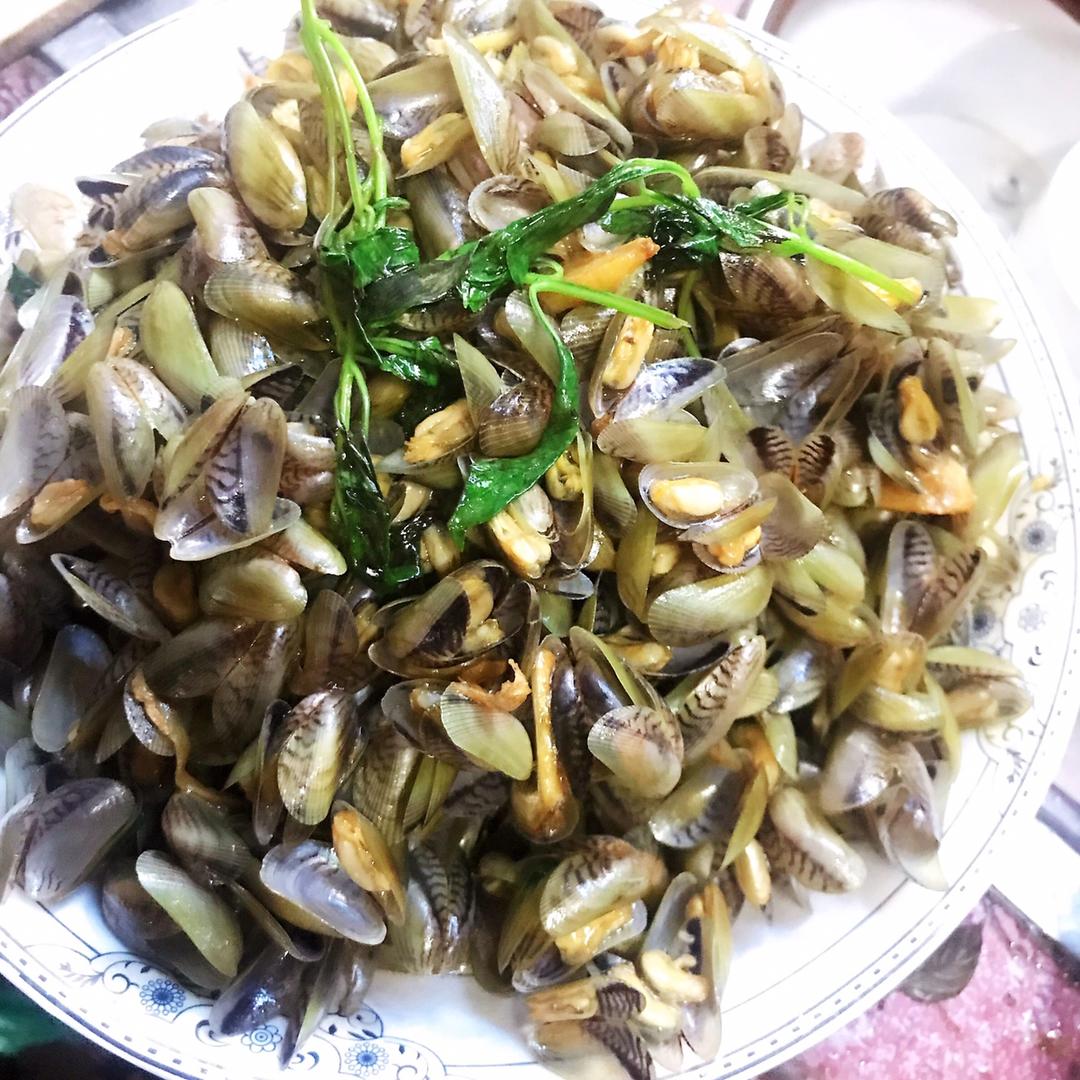 九层塔炒薄壳（金不换）的做法