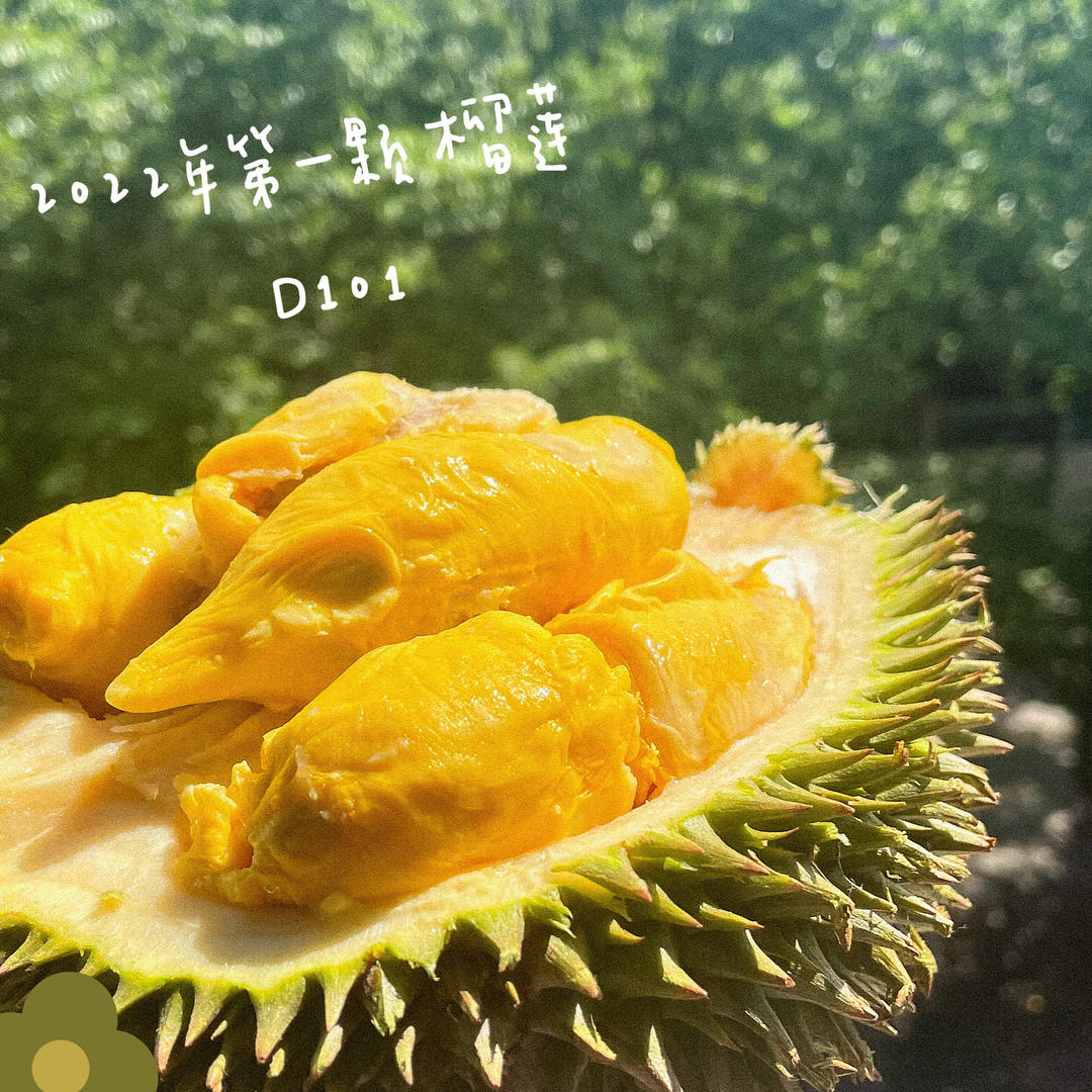各种菜菜