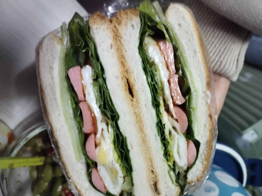 营养一网打尽，美好一天从三明治🥪开始
