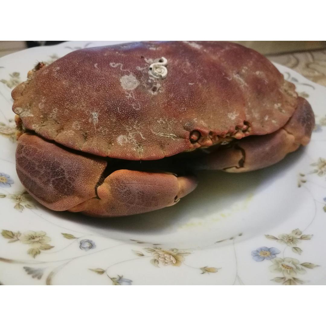 清蒸大闸蟹