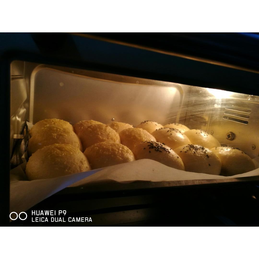 鲜奶油小餐包（一次发酵）