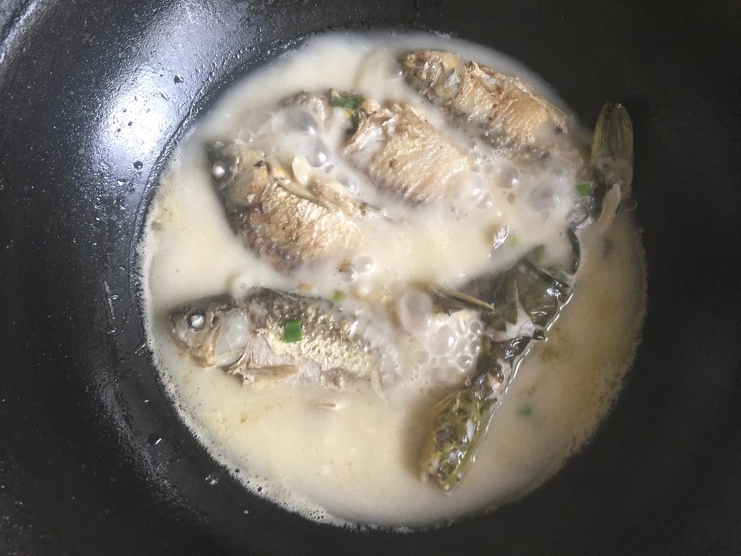 时光眠_vo9m做的鲫鱼汤