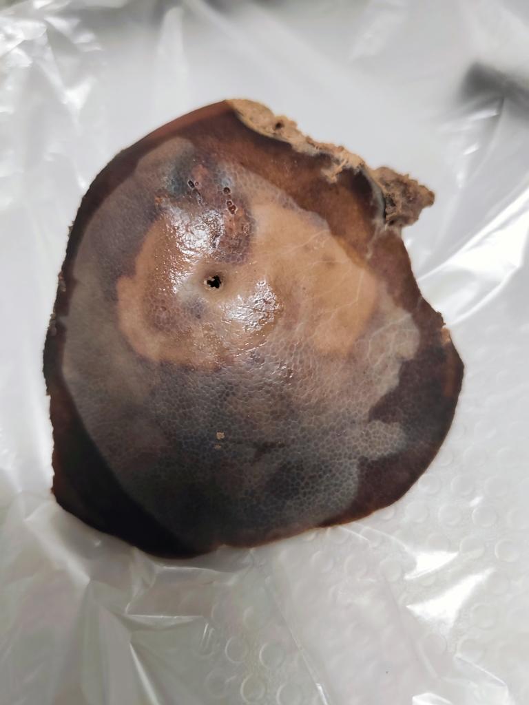 86岁奶奶教的盐水猪肝