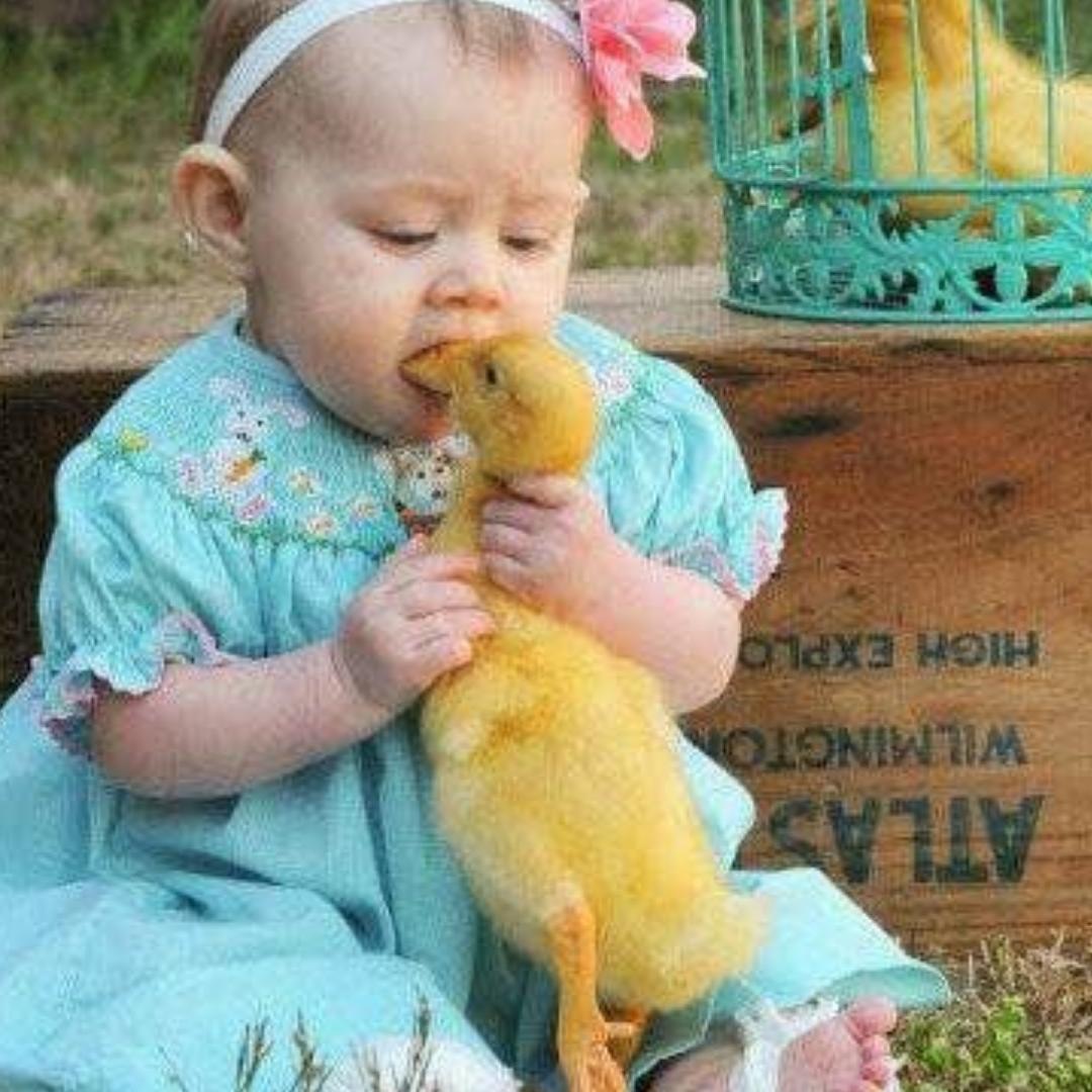 合格干饭人23号