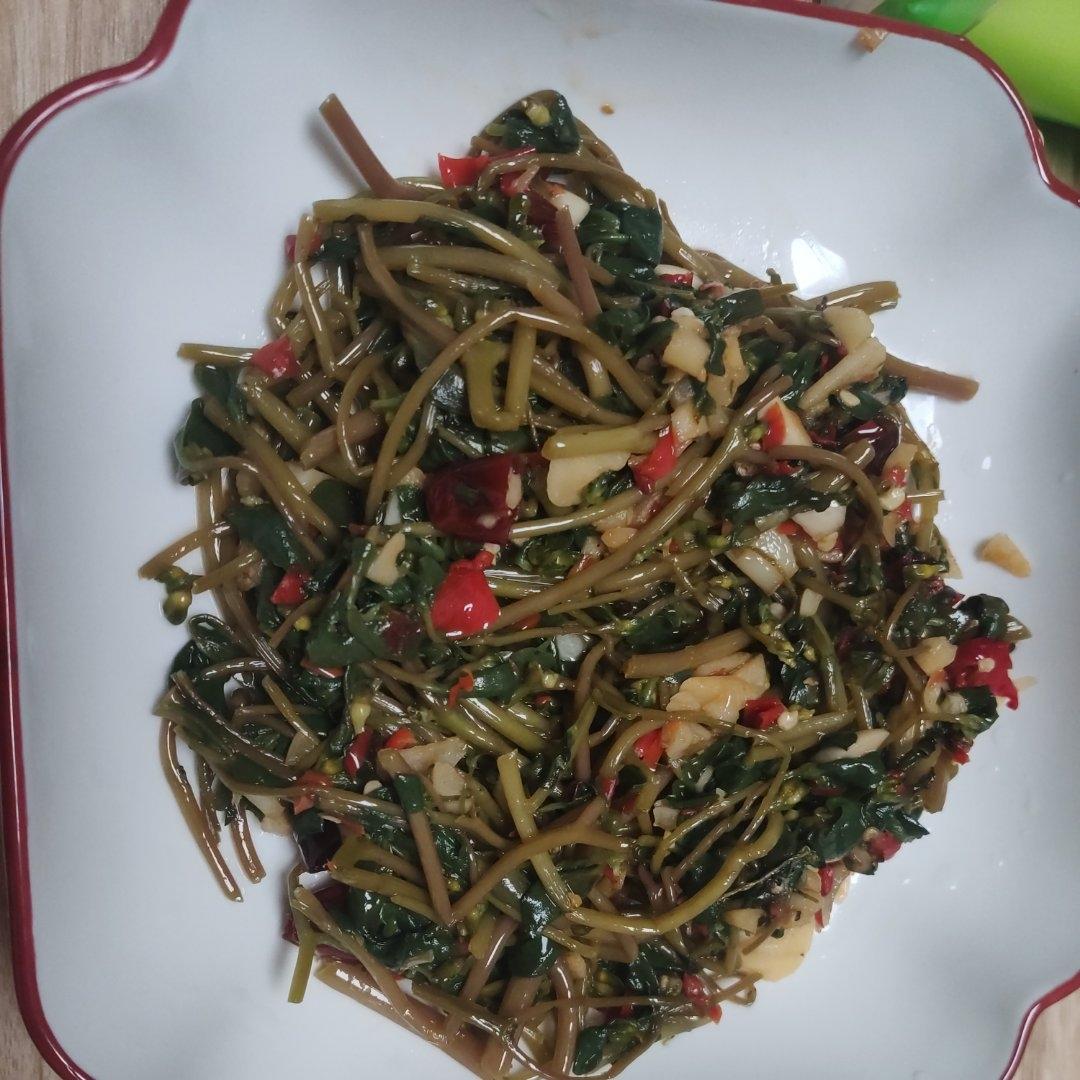 爆香马齿苋